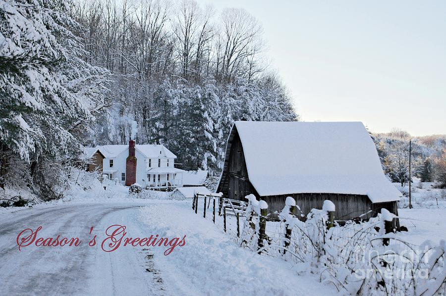 Dreaming of a White Christmas Photograph by Benanne Stiens
