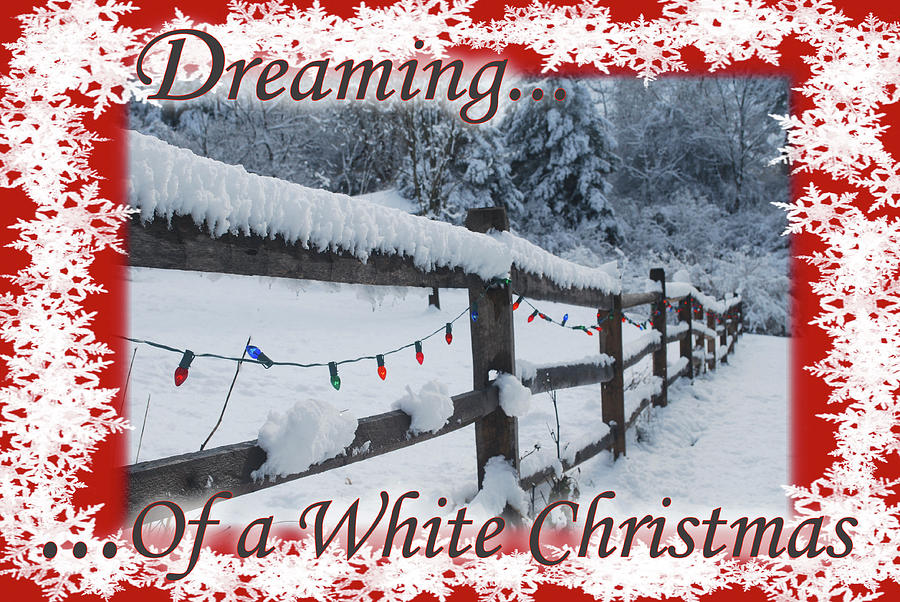 Dreaming of a White Christmas Photograph by Debra and Dave Vanderlaan