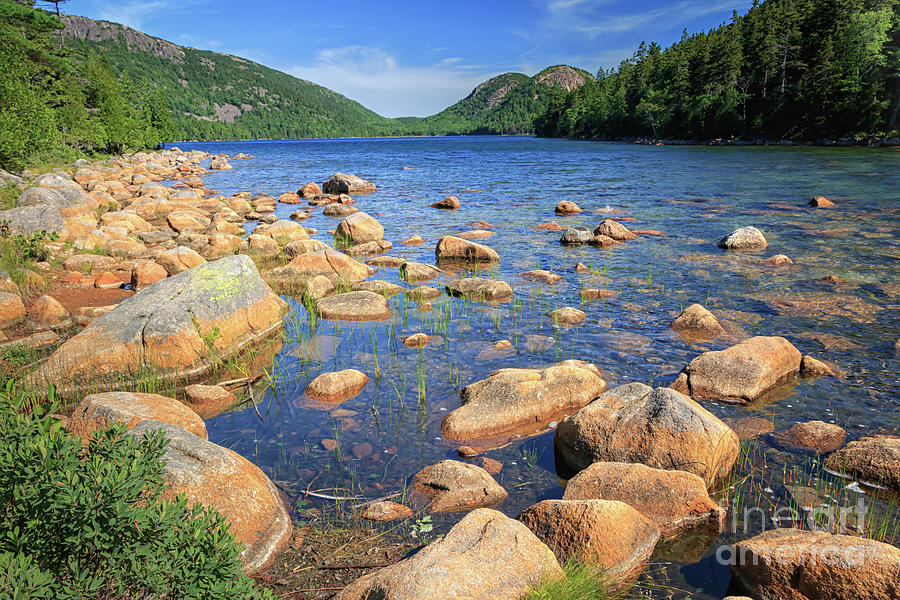 Acadia National Park Photograph - Dreaming of Acadia by Elizabeth Dow