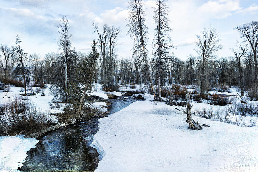 Dreaming of Cottonwood Creek Photograph by Belinda Greb