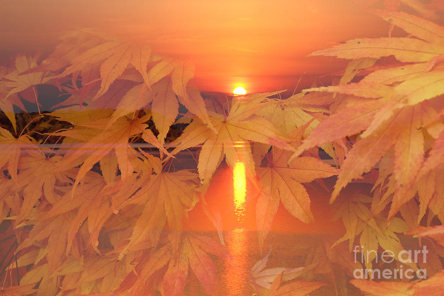 Fall Photograph - Dreaming of Fall by Geraldine DeBoer