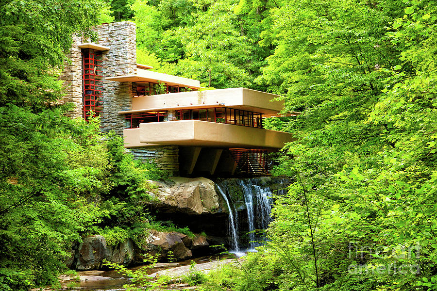 Dreaming of Fallingwater Two Photograph by Rachel Cohen