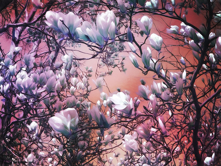 Dreaming of Magnolias Digital Art by Shawna Rowe