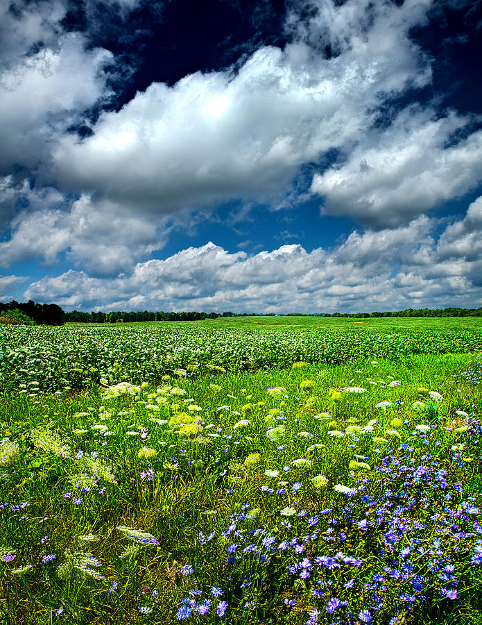 Landscape Photograph - Dreaming of Summer by Phil Koch