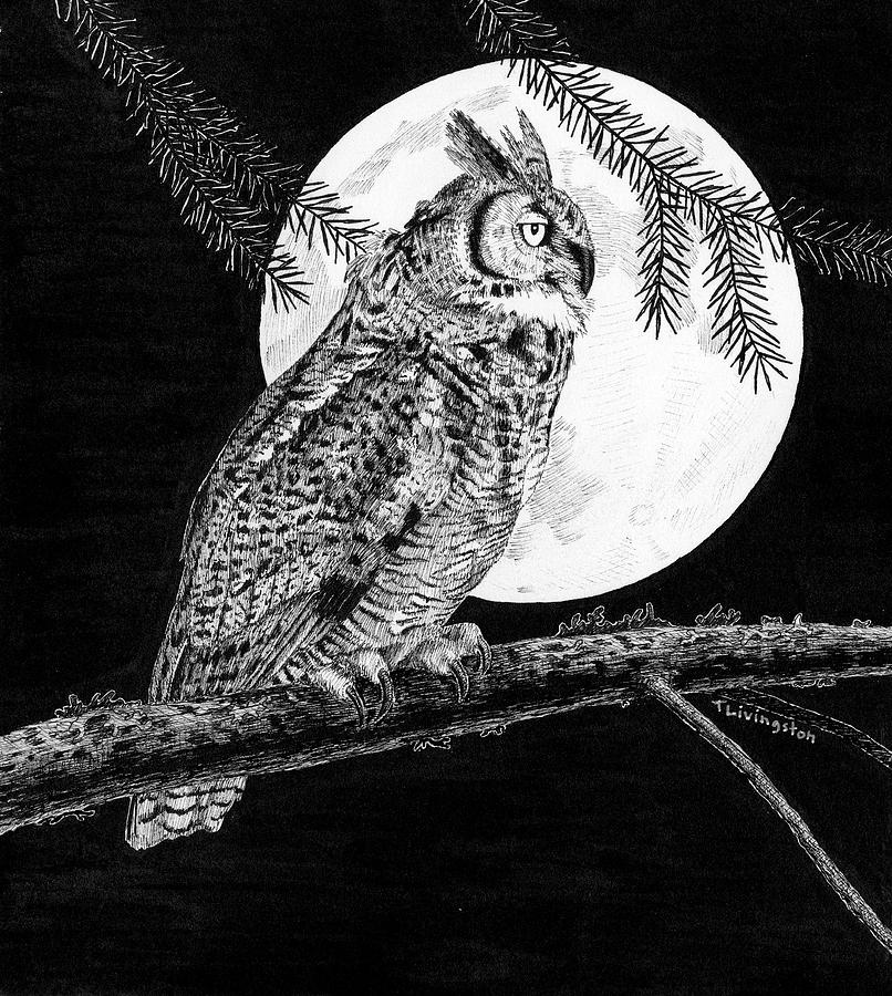 Dreaming of the Night Drawing by Timothy Livingston