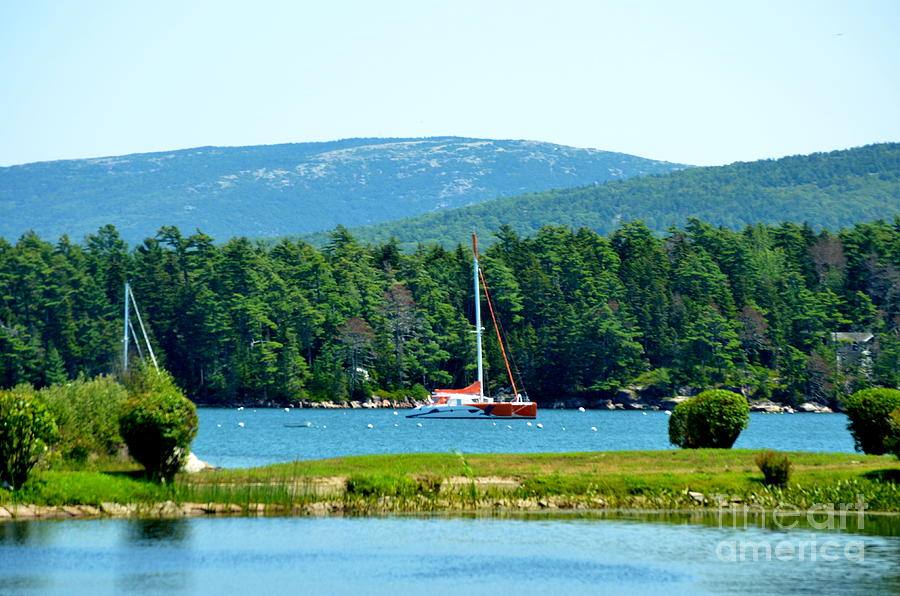 Dreaming Of The Waters Of Maine Photograph
