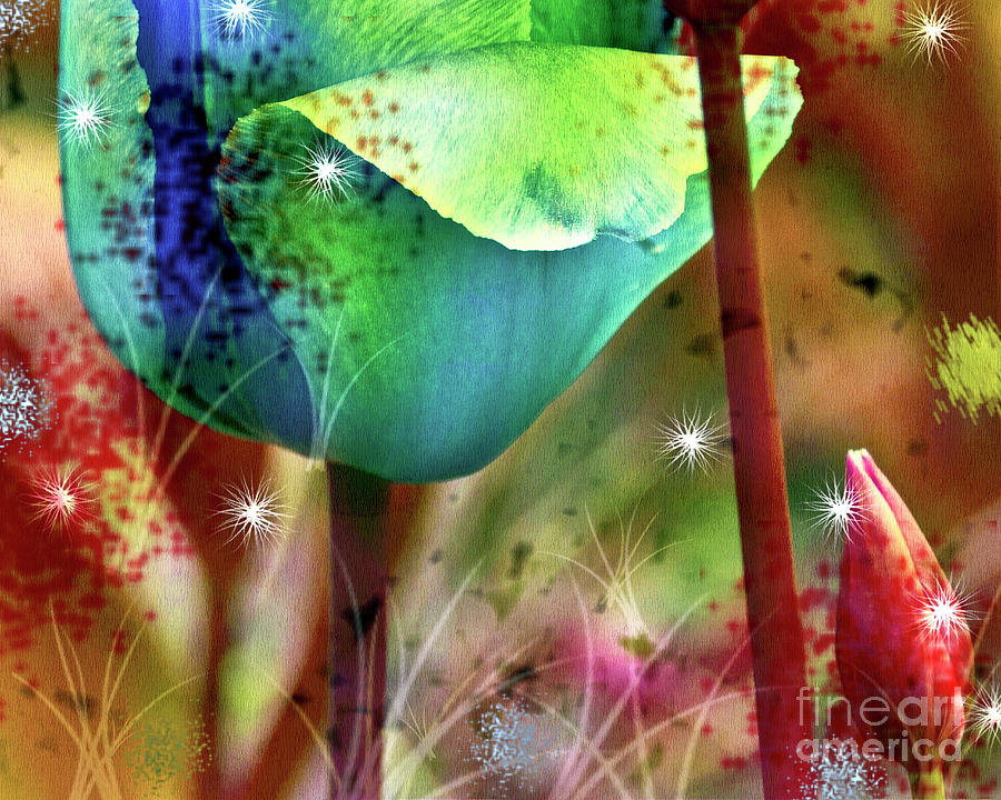 Dreaming Tulips Digital Art by Silva Wischeropp