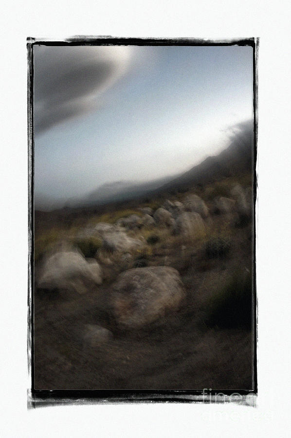 Dreamland Palm Springs Photograph By Michael Ziegler Fine Art America