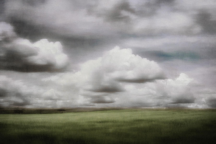 Dreamland by Paul Bartell Dreamland by Paul Bartell