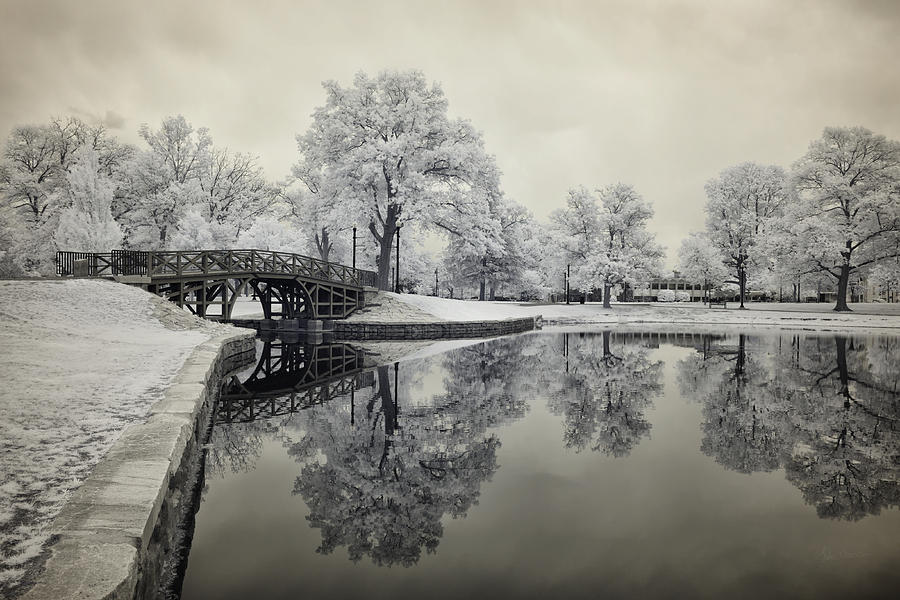 Dreamlike Elm Park in Worcester Photograph by Luke Moore