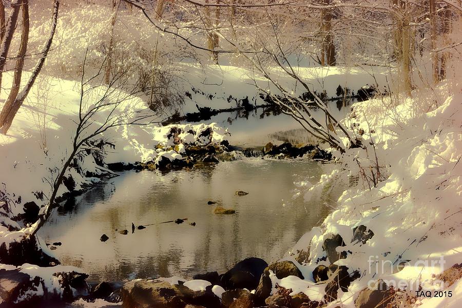 Winter Photograph - Dreams Come To Light by Tami Quigley