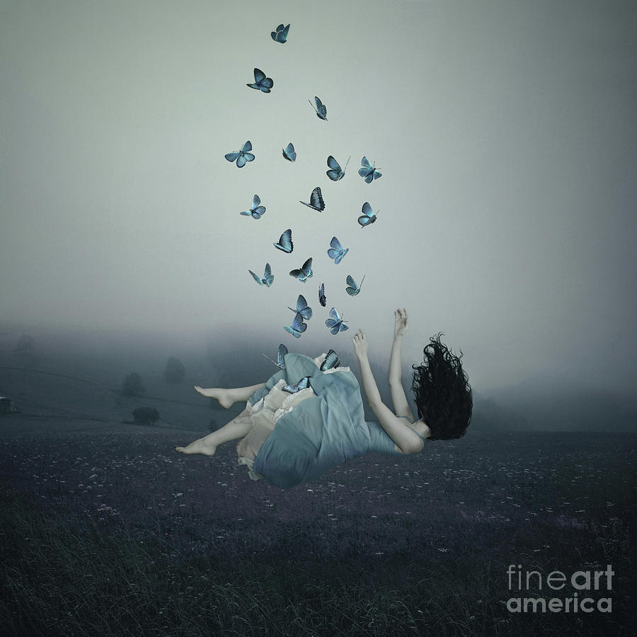 Magic Digital Art - Dreams Like Butterflies by Ilona Flores