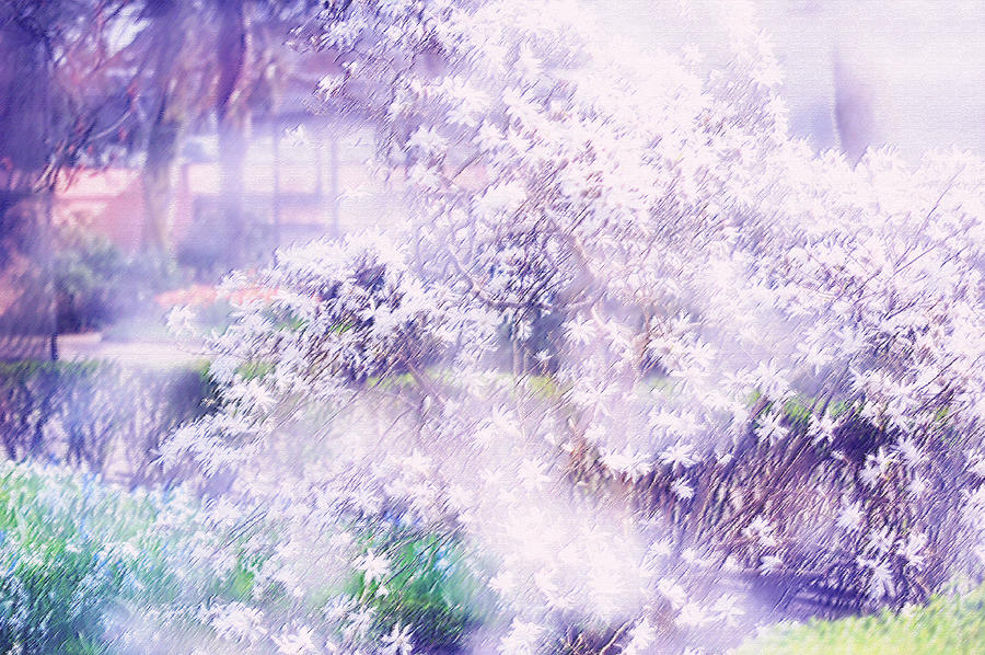 Dreams of Spring. Impressionism Photograph by Jenny Rainbow