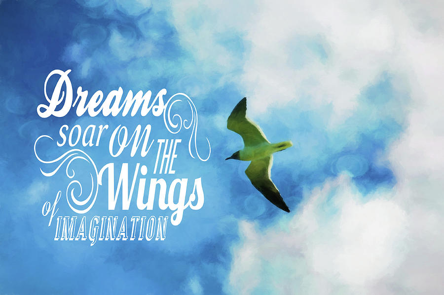 Dreams On Wings Photograph by Jan Amiss Photography