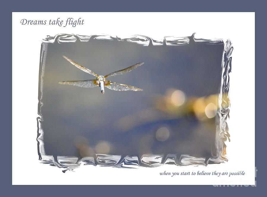 Dreams Take Flight Poster or Card Photograph by Carol Groenen