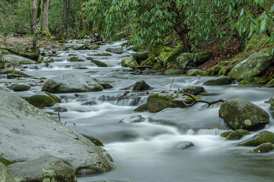Dreamy Abrams Creek Photograph by Douglas Wielfaert