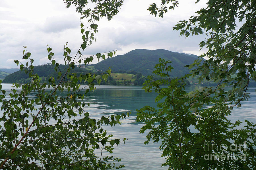 Dreamy Austrian Lake Photograph by Carol Groenen