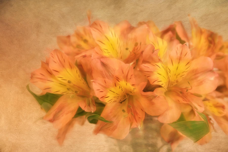 Spring Photograph - Dreamy Autumn Bouquet  by Kim Hojnacki