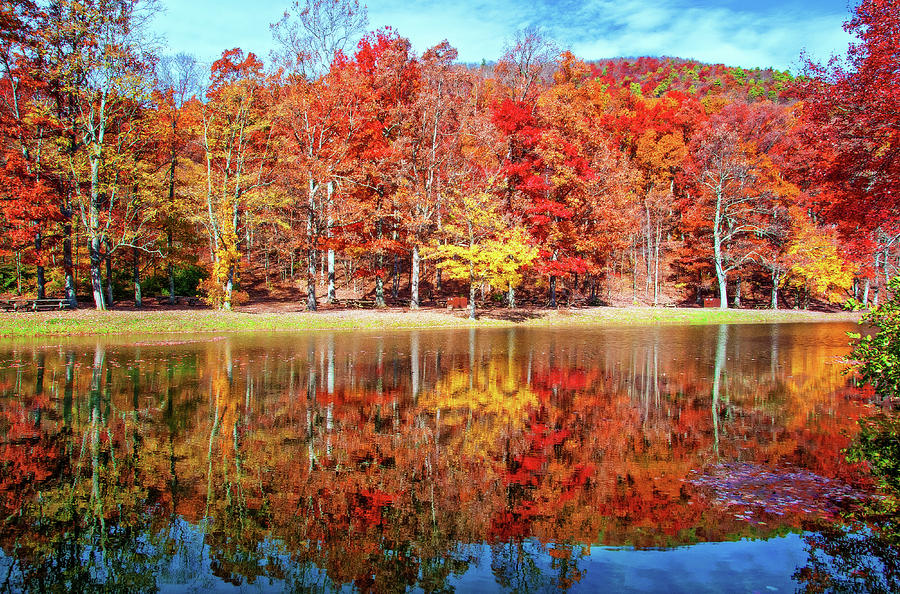Dreamy Autumn Reflections Photograph by Lynn Bauer