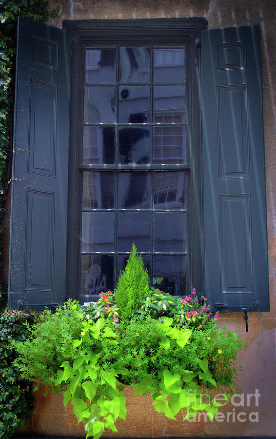 Dreamy Charleston Window Box  No. 3 Photograph by Skip Willits