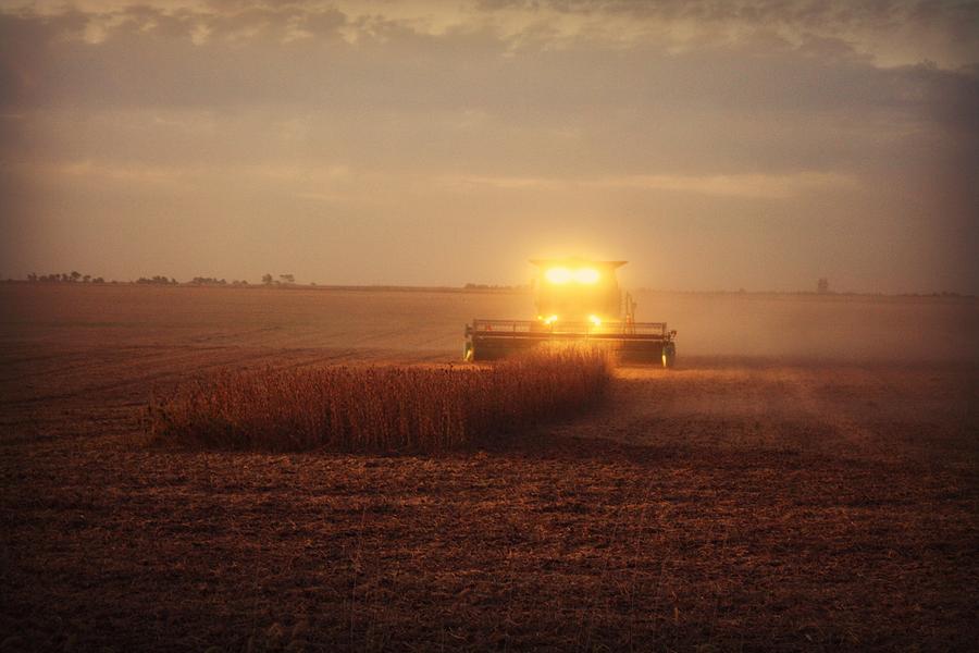 Corn Harvest Photograph - Dreamy Corn Harvest by Goldie Pierce Corn Harvest Photograph - Dreamy Corn Harvest by Goldie Pierce