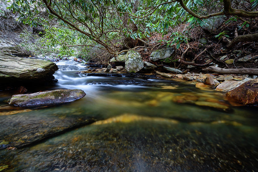 Dreamy Creek Photograph by Michael Scott