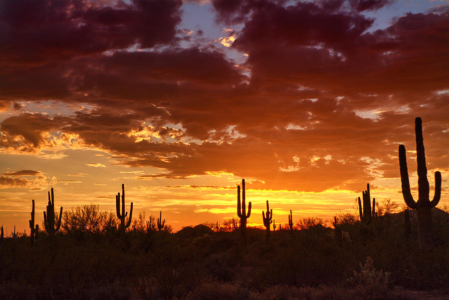 Sunset Photograph - Dreamy Desert Skies  by Saija Lehtonen