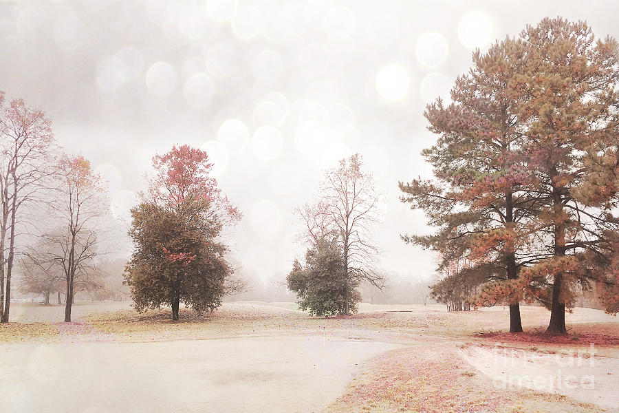 Dreamy Ethereal Serene Peaceful Nature Trees Landscape Photograph by Kathy Fornal