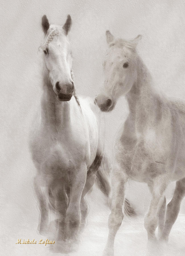 Dreamy Horses Photograph by Michele A Loftus