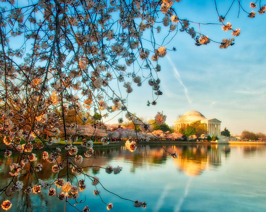 Dreamy Jefferson and Flowers Photograph by Mark Dodd