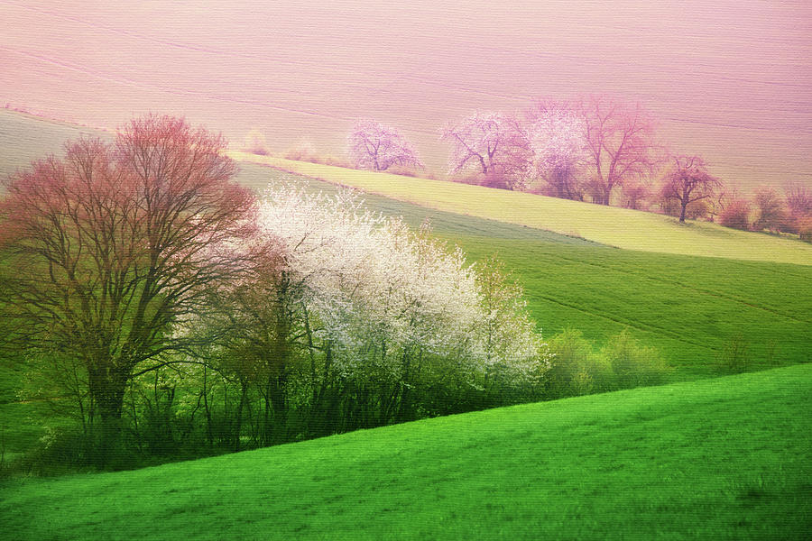 Nature Photograph - Dreamy Lands by Iryna Goodall