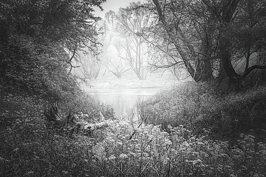 Dreamy Morning in Black and White Photograph by Debra and Dave Vanderlaan