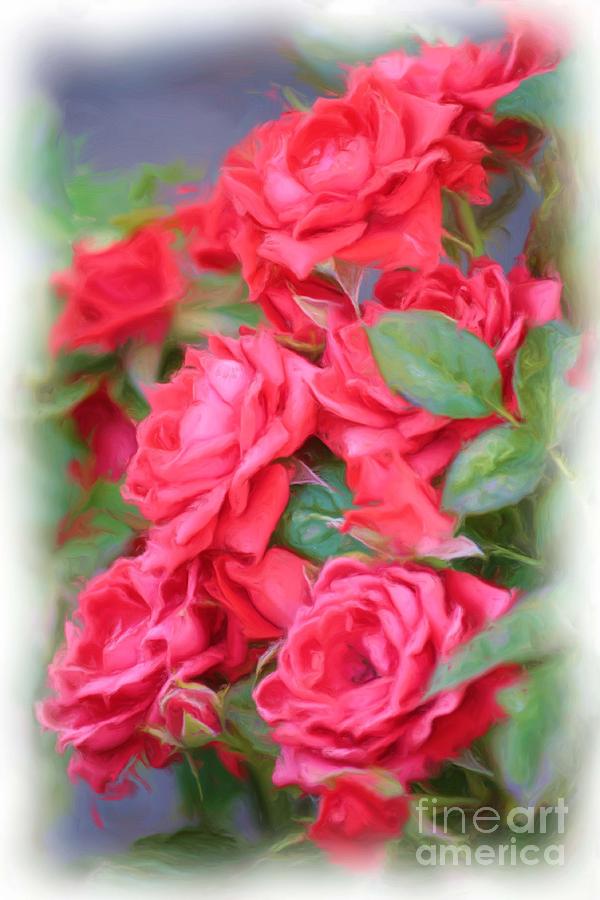 Dreamy Red Roses - Digital Art Photograph by Carol Groenen