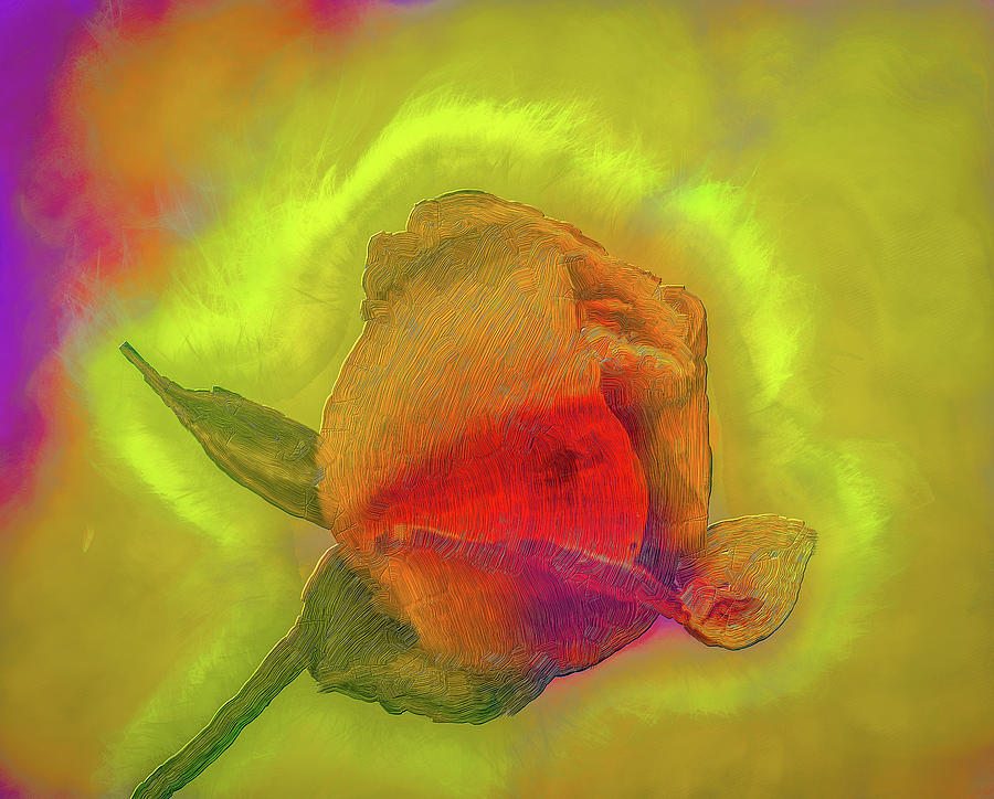 Dreamy rose fantasy #h2 Photograph by Leif Sohlman