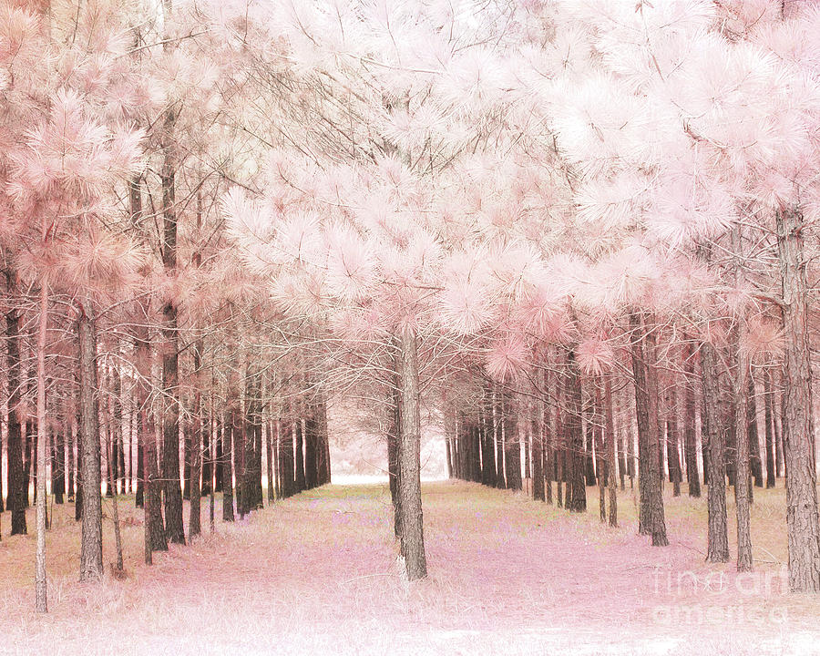 Pink Forest Fantasy Nature Photograph - Dreamy Shabby Chic Pink Nature Pink Trees Woodlands - Pink Nature Nursery Prints Decor by Kathy Fornal