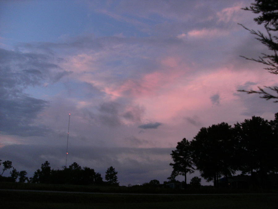 Tree Photograph - Dreamy Skyscape Blue and Pink by Anne-Elizabeth Whiteway