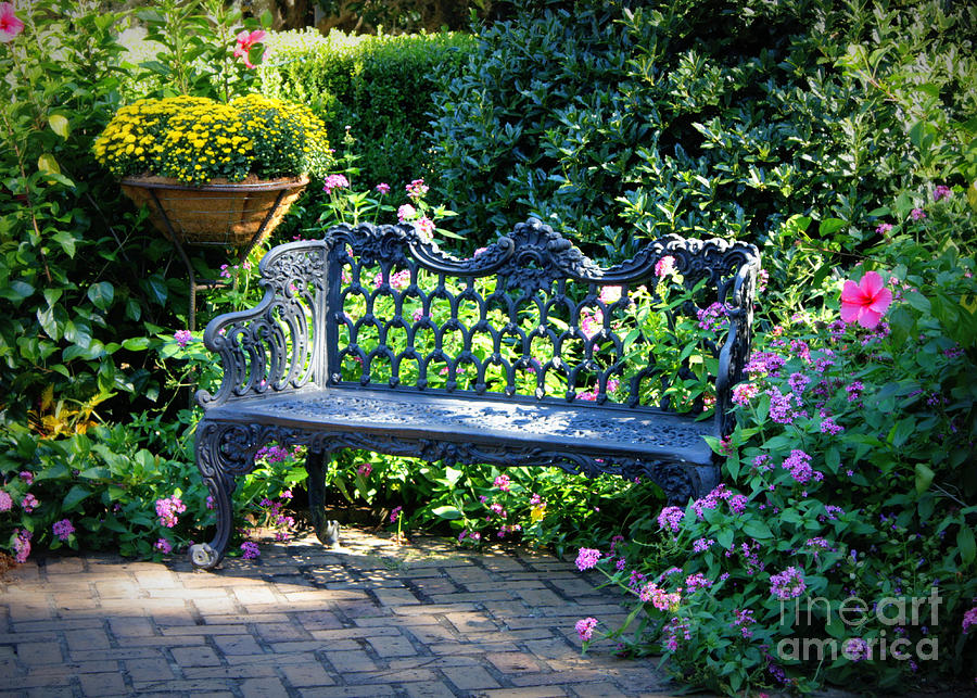 Dreamy Southern Garden Bench Photograph by Carol Groenen