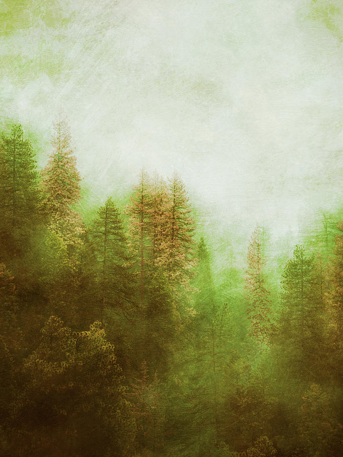 Dreamy Summer Forest Digital Art by Klara Acel