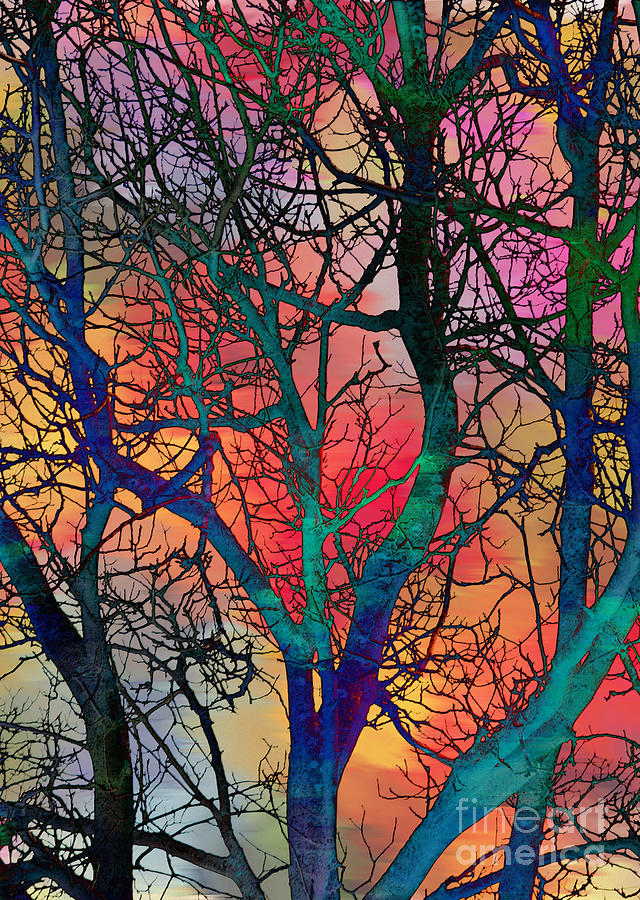 Dreamy Sunset Digital Art by Klara Acel