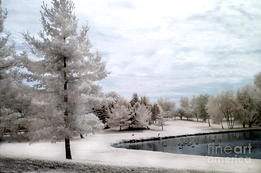 Dreamy Surreal Infrared Pond Landscape Nature Scene  Photograph by Kathy Fornal