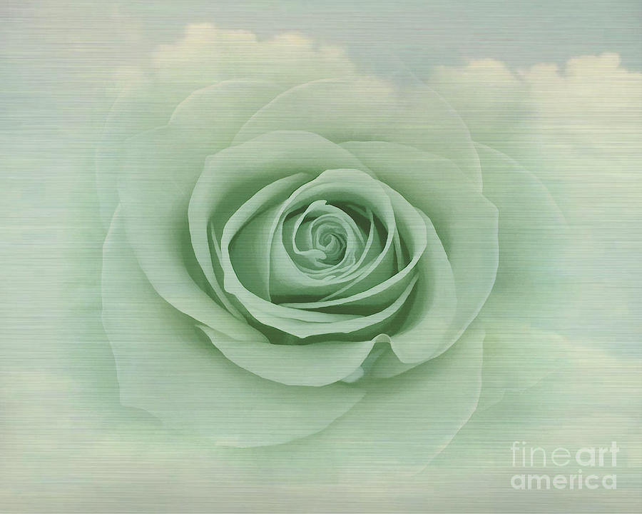 Dreamy Vintage Floating Rose Painting by Judy Palkimas