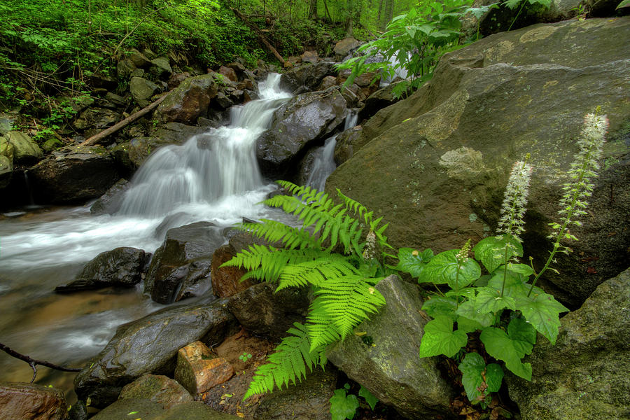 Dreamy Waterfall Cascades Photograph by Debra and Dave Vanderlaan