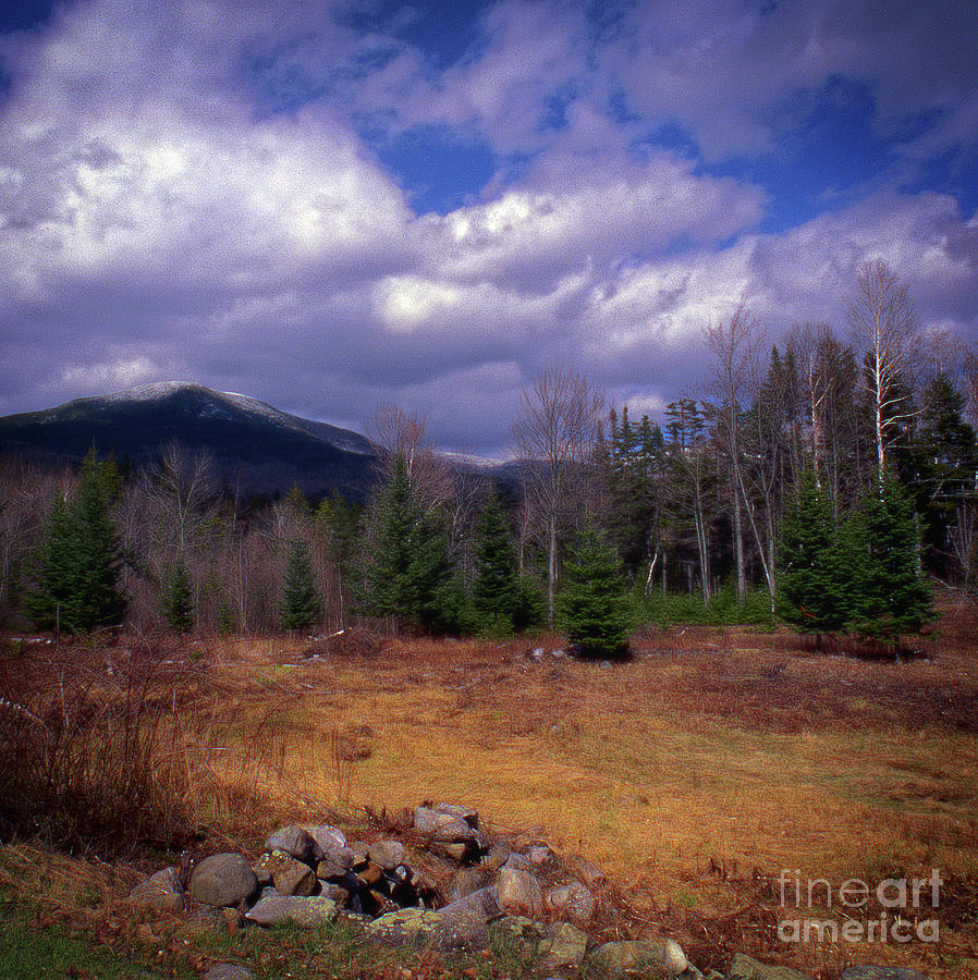 Dreamy White Mountains Photograph by Skip Willits