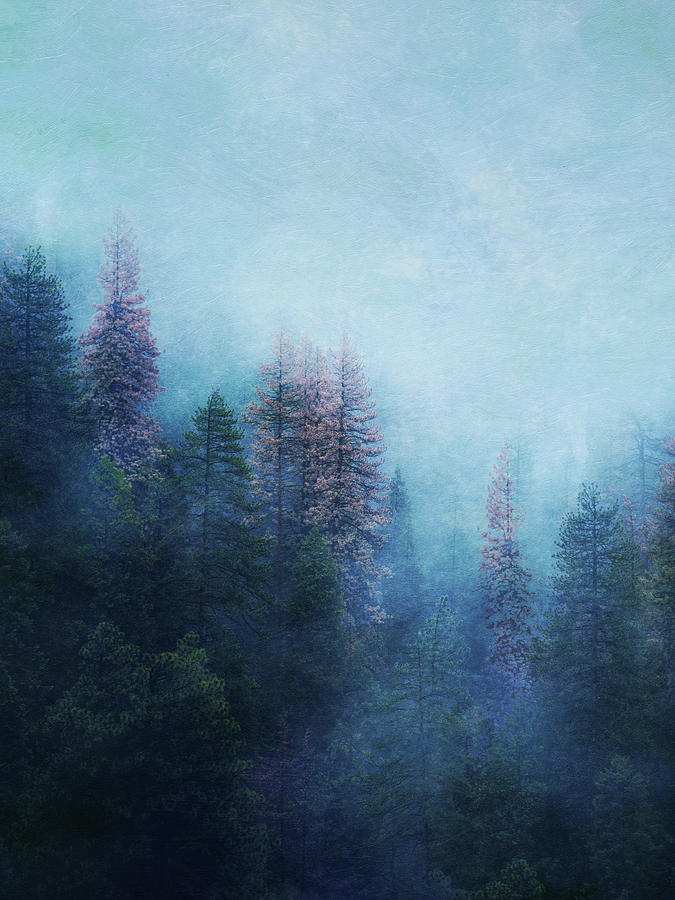 Dreamy Winter Forest Digital Art by Klara Acel