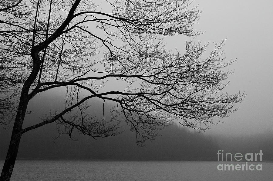 Dreary Day On The Lake Photograph by Thomas R Fletcher