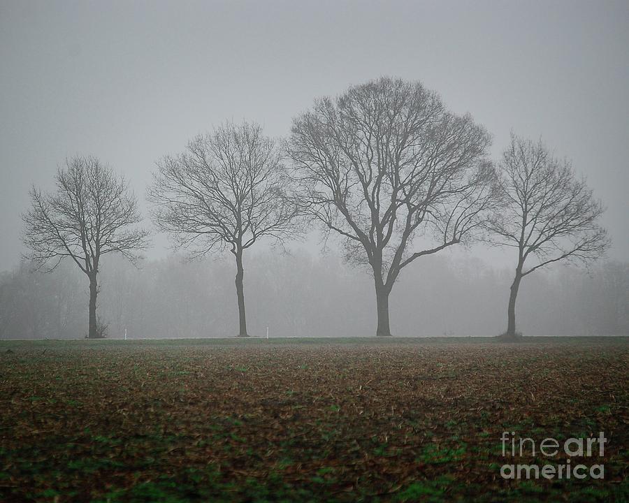 Drenthe after the rain Photograph by Humphrey Isselt