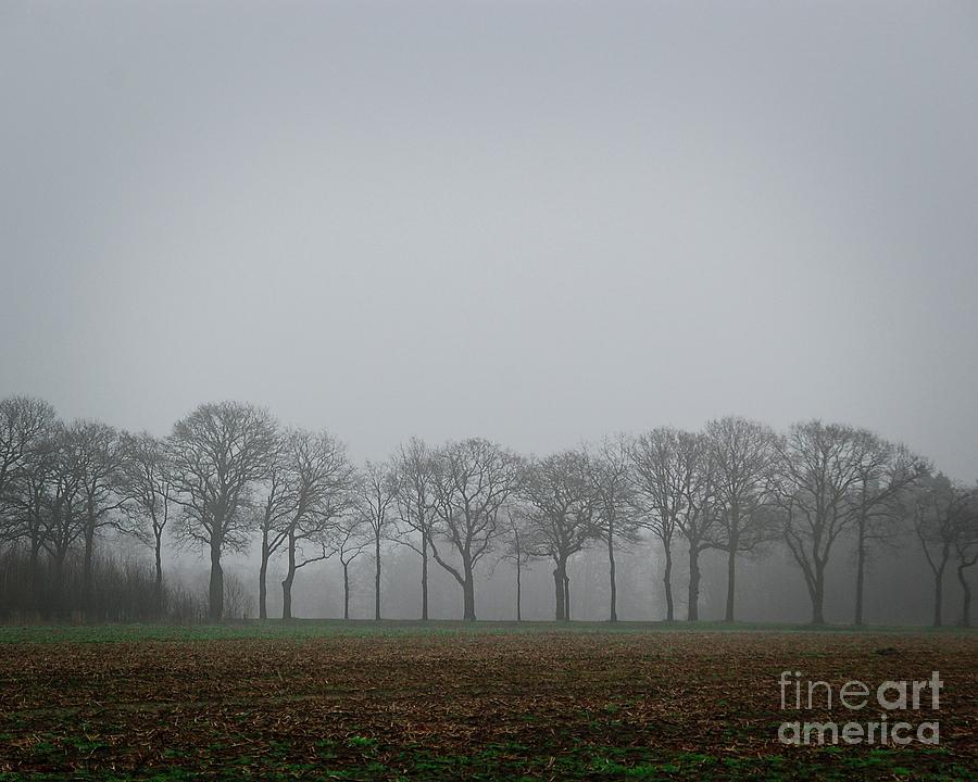 Drenthe after the rain I Photograph by Humphrey Isselt
