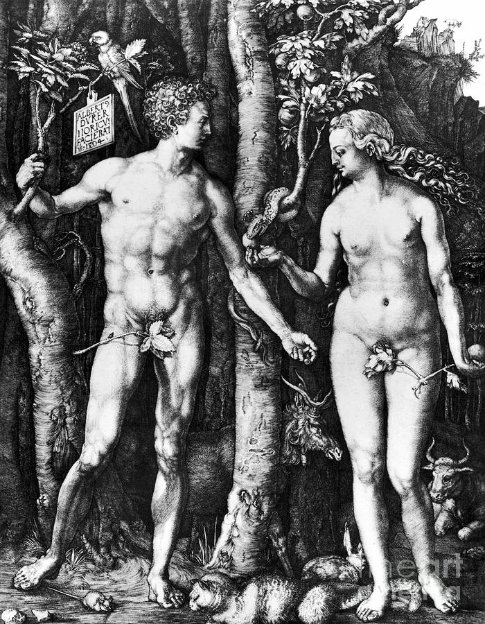 DURER - ADAM and EVE, 1504 Photograph by Granger