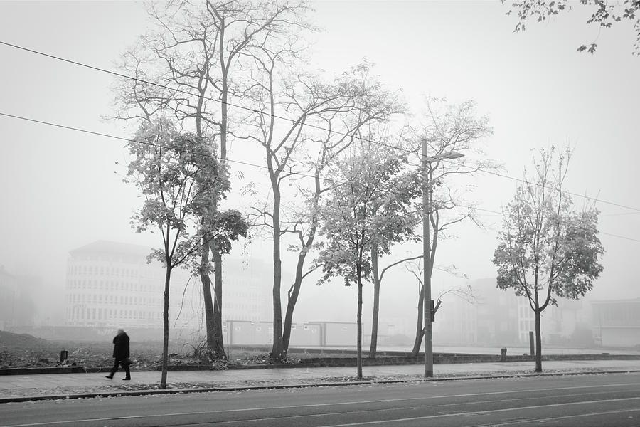 Dresden - foggy Ostra-Allee Photograph by Dorit Fuhg
