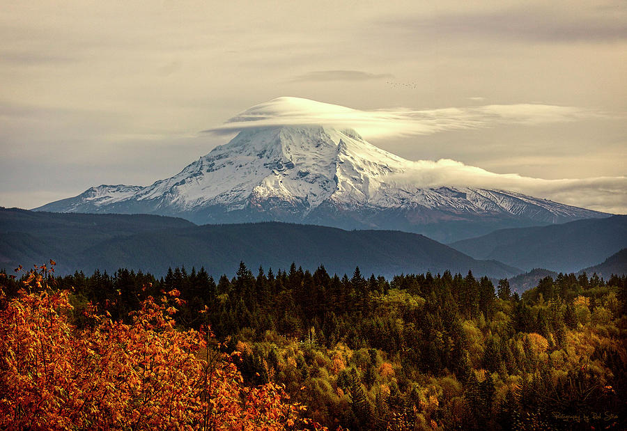 Mountain Photograph - Dressed For Fall - Mt. Hood, Oregon by Rod Stroh
